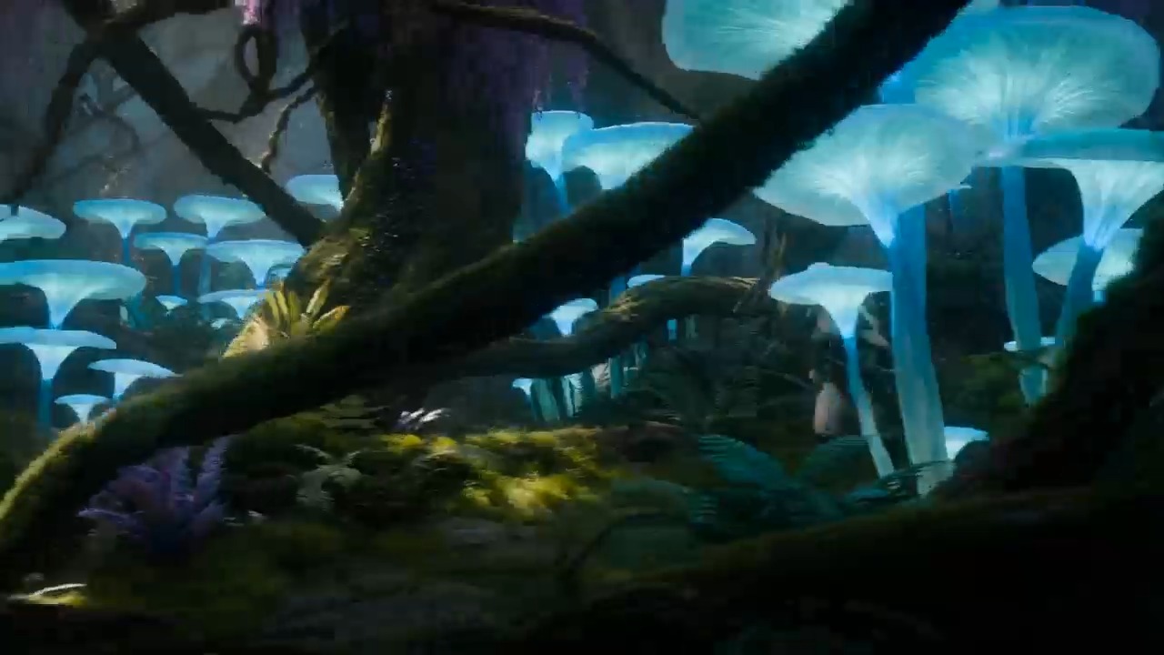 Journey to the Light