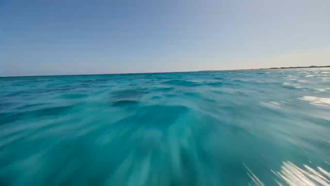Harmony of the Deep